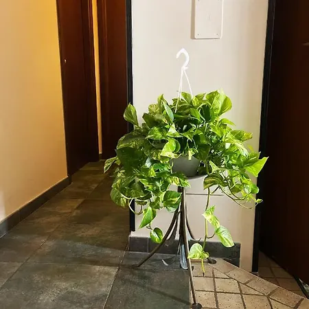 Clarian Bed & Breakfast Rome