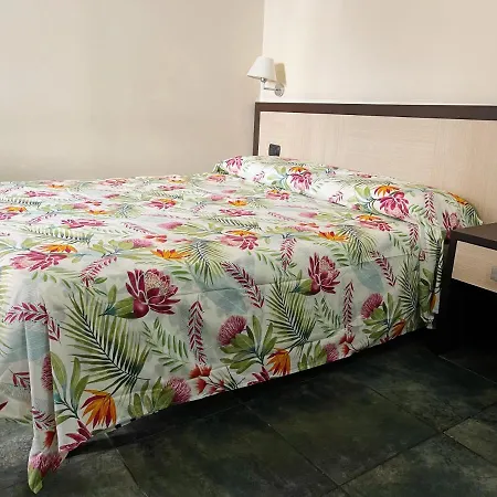 Clarian Bed & Breakfast